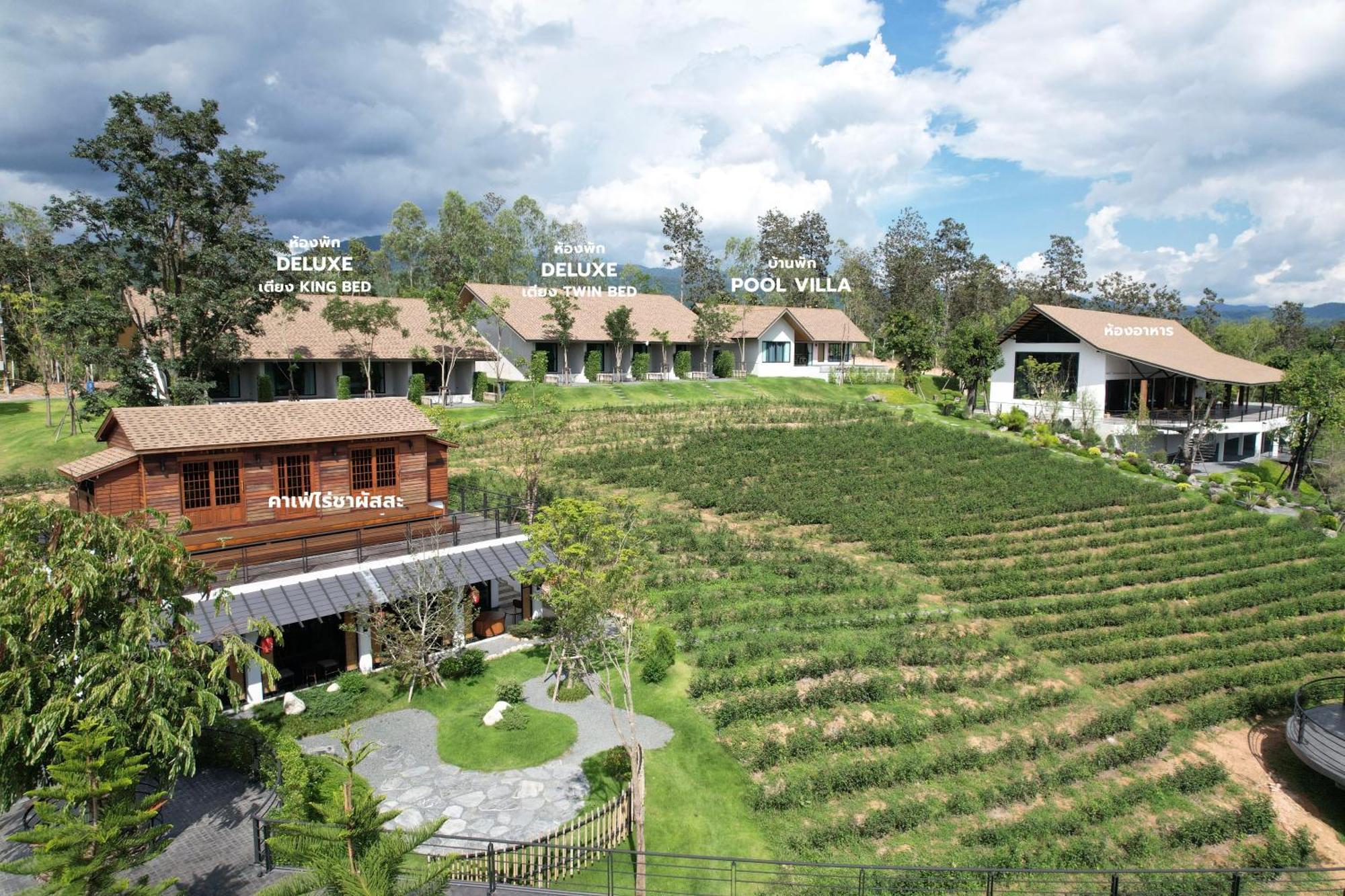 Passa ผัสสะ Tea Plantation @Mae On Hotel Ban Huai Kaeo ภายนอก รูปภาพ